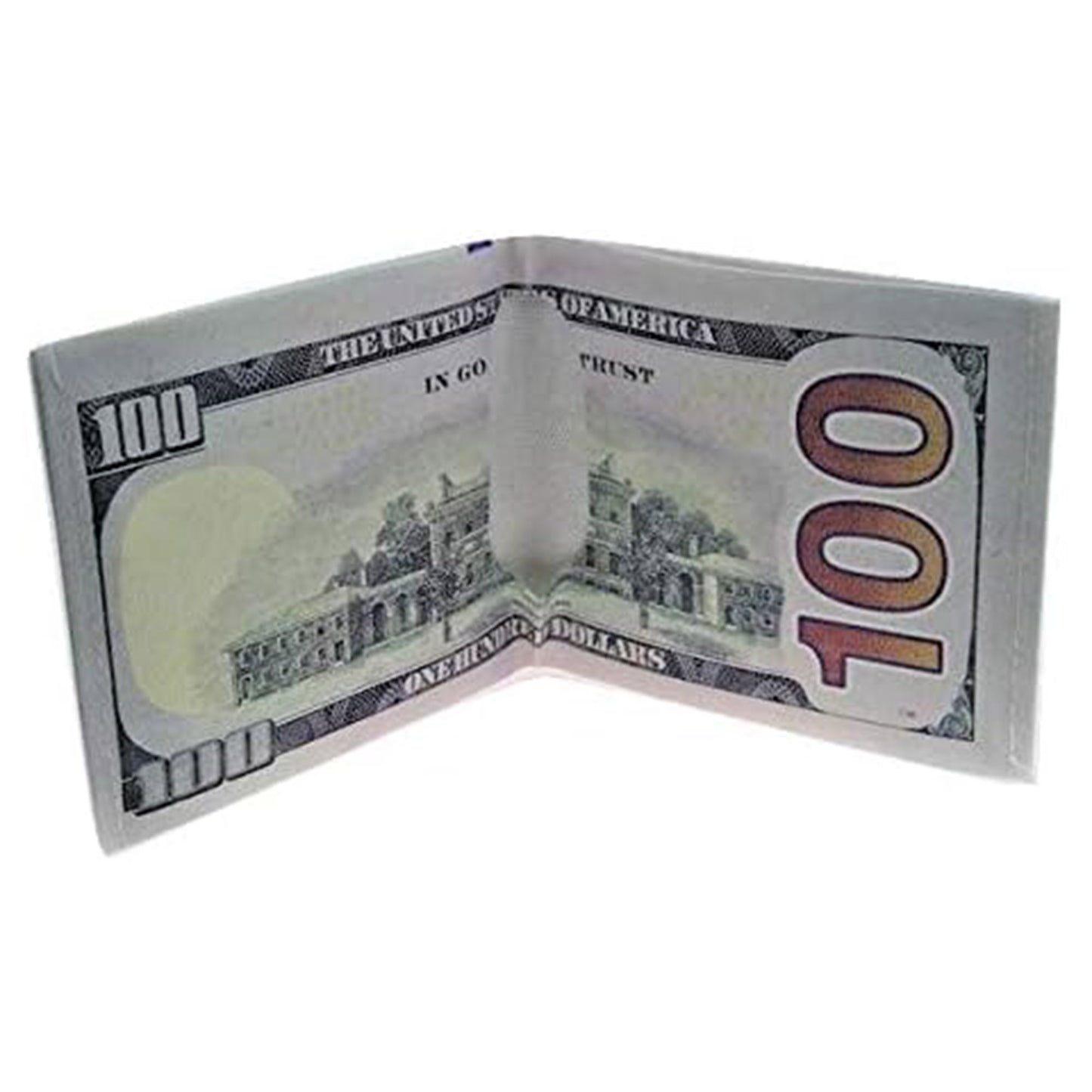 Funny Dollar Money Wallet BG100 (12PC)