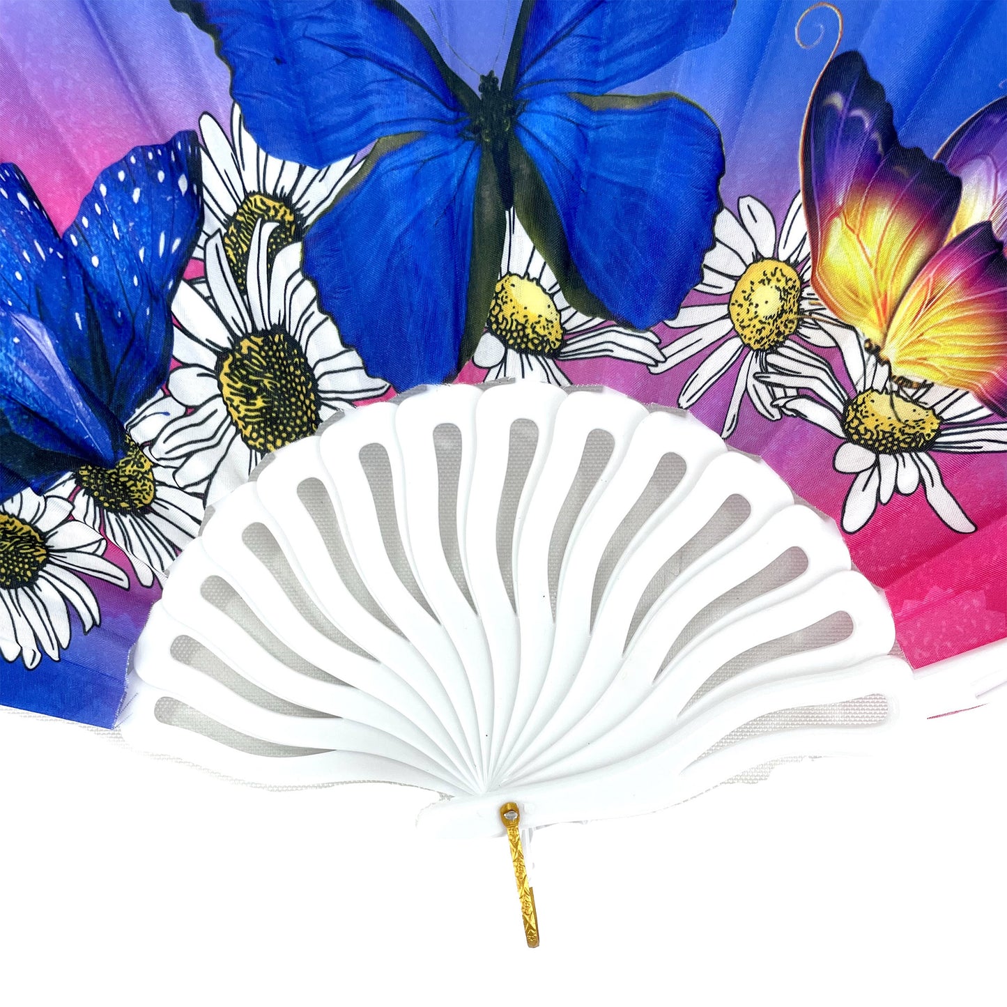 Butterfly Daisy Ombre Folding Hand Fan FN0373. (12PC)