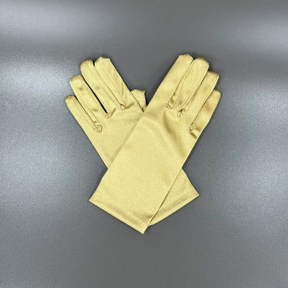 Wedding and Satin Gloves FG528-2BL-C (12PC)