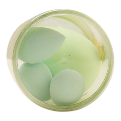 4PC Makeup Sponge Set 17220 (12PC)