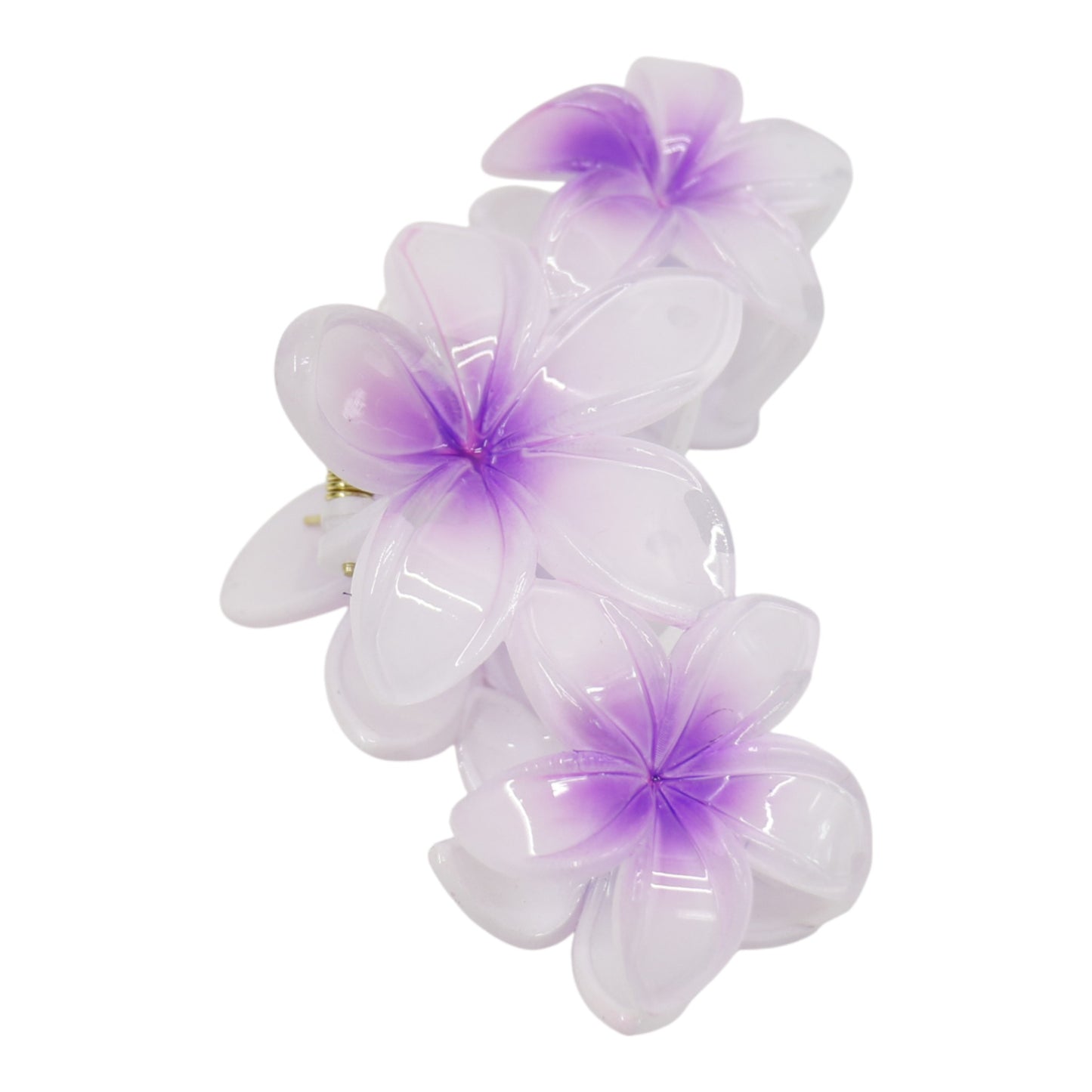 Hawaiian Flower Hair Claw Clip JH5109-6 (12PC)