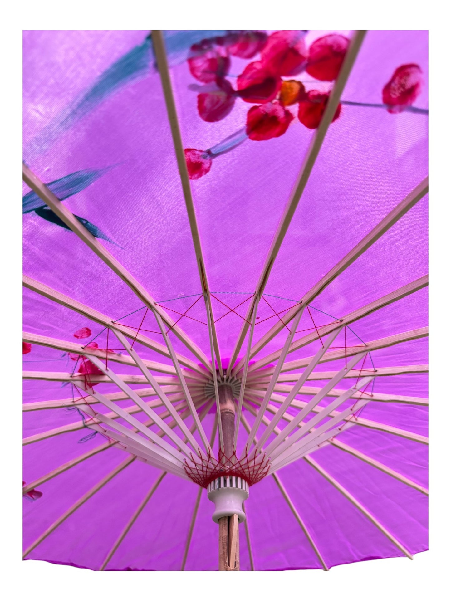 Traditional Floral Sunshade Oil Cloth Paper Umbrella UM5044 (12PC)