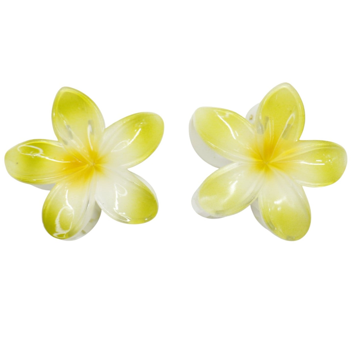 Hawaiian Flower Hair Claw Clip SS5830-34 (12PC)