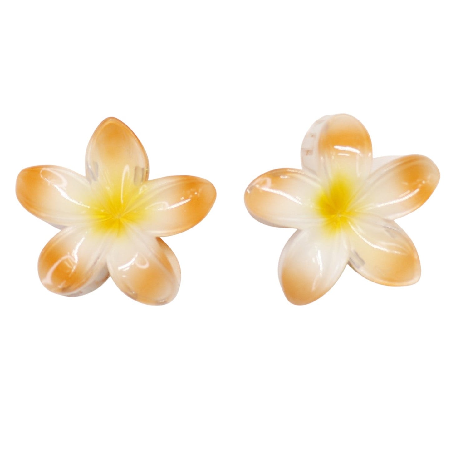 Hawaiian Flower Hair Claw Clip SS5830-34 (12PC)